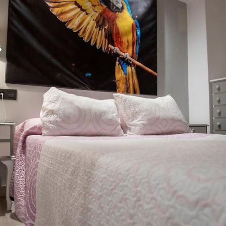 Apartamento Ventanal Ateca 외부 사진